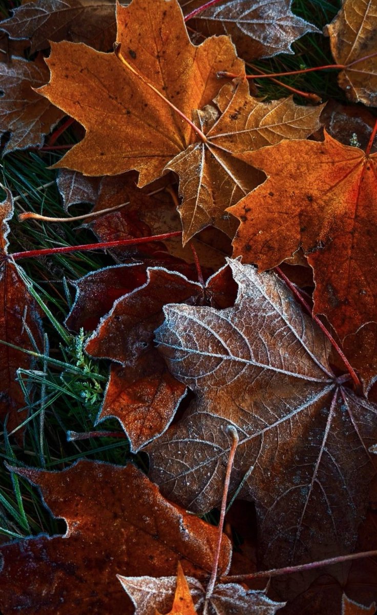 Один сезон
Сменить другой
Спешит.

Фото Марии Елиной.