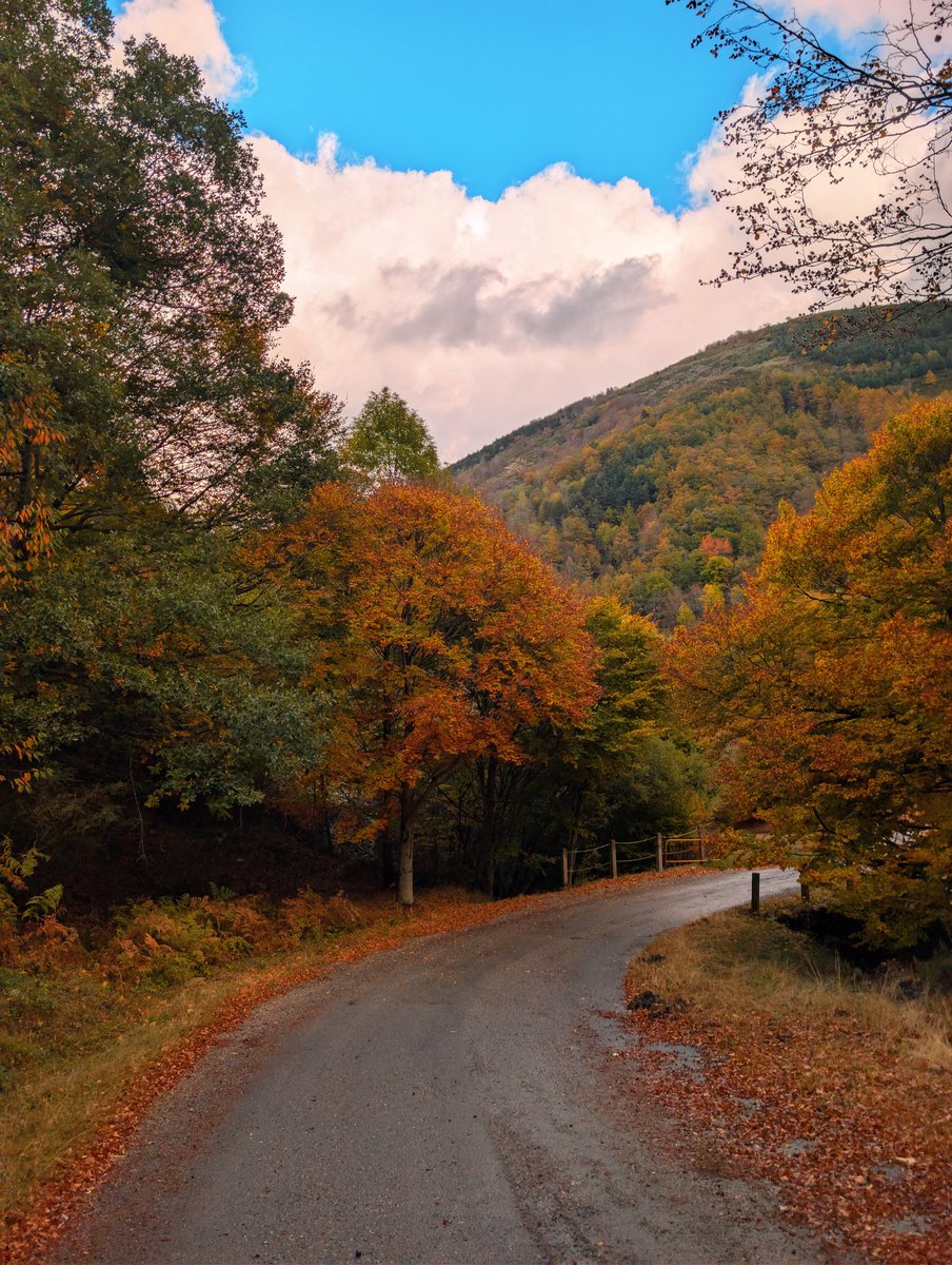 Amantes del Ciclismo tweet media