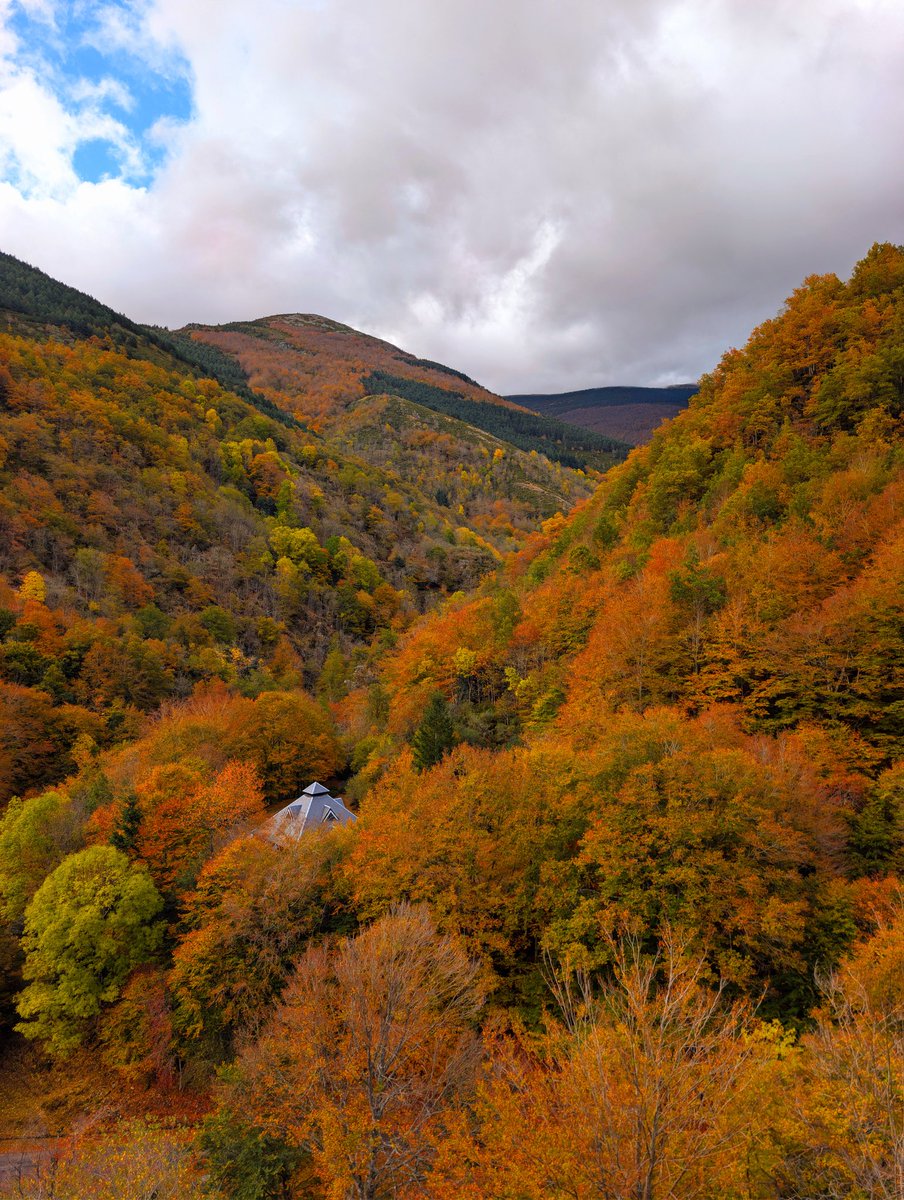 Amantes del Ciclismo tweet media