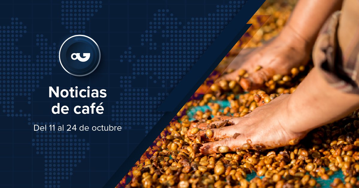 pdgespanol's tweet image. Les resumimos las noticias sobre la industria del café de estas dos semanas, ¡descubre más haciendo clic en el enlace! 👇🏻perfectdailygrind.com/es/2025/10/24/…
– #PDGEspañol