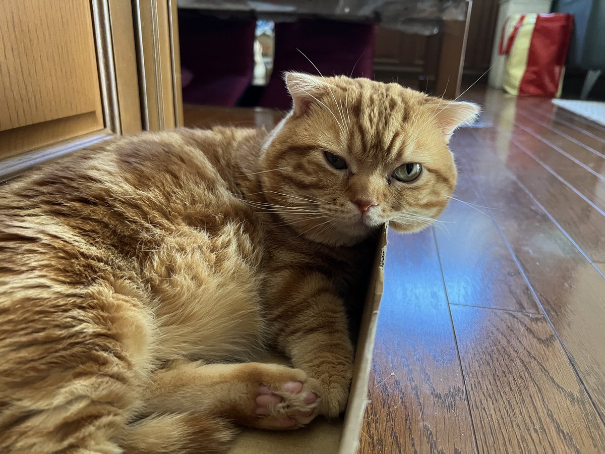 溢れるほっぺ🫠