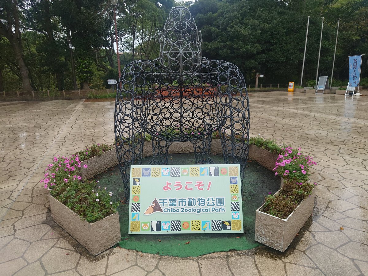 koshimin☆♡ みはぷ on X