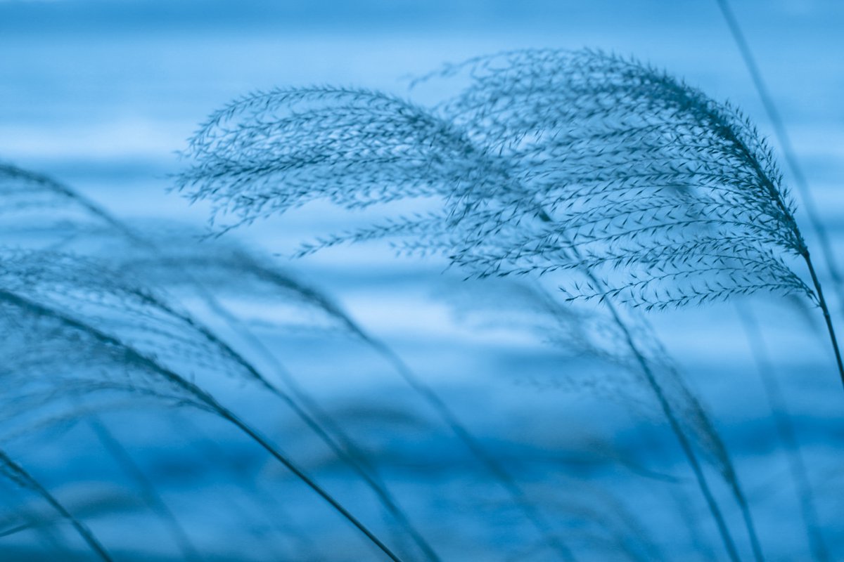 gustfronty797's tweet image. Linger