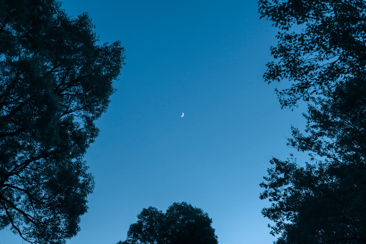 gustfronty797's tweet image. Linger