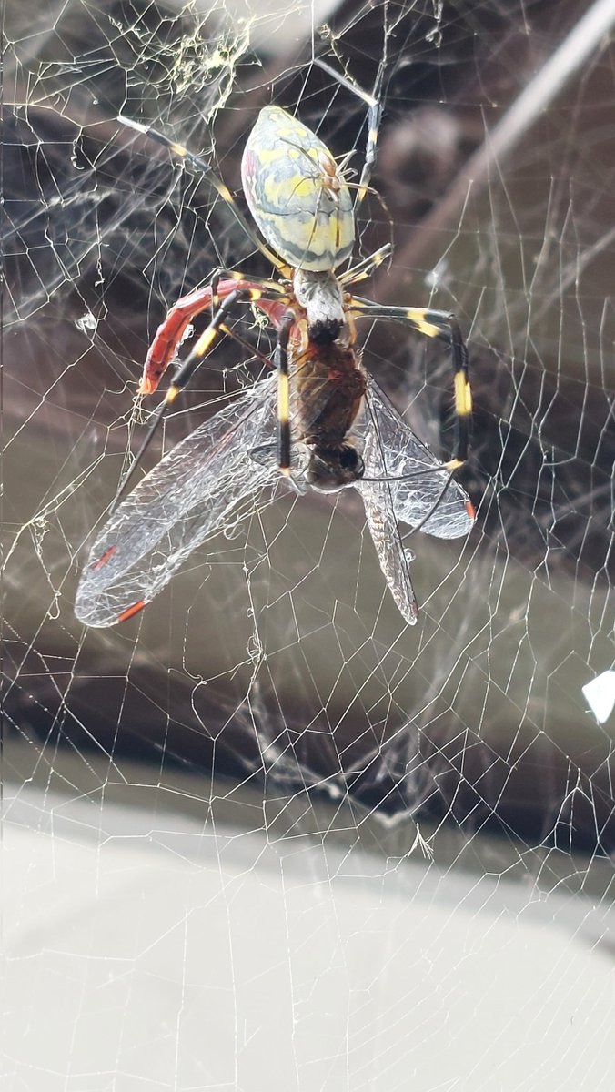 リアルに「あぁ…!」って声出ちゃった 