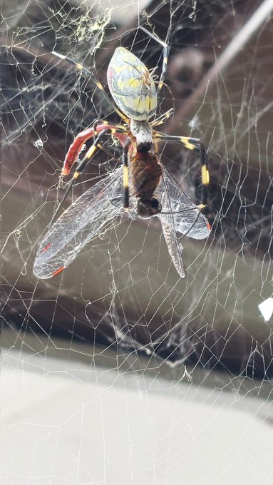 リアルに「あぁ…!」って声出ちゃった 