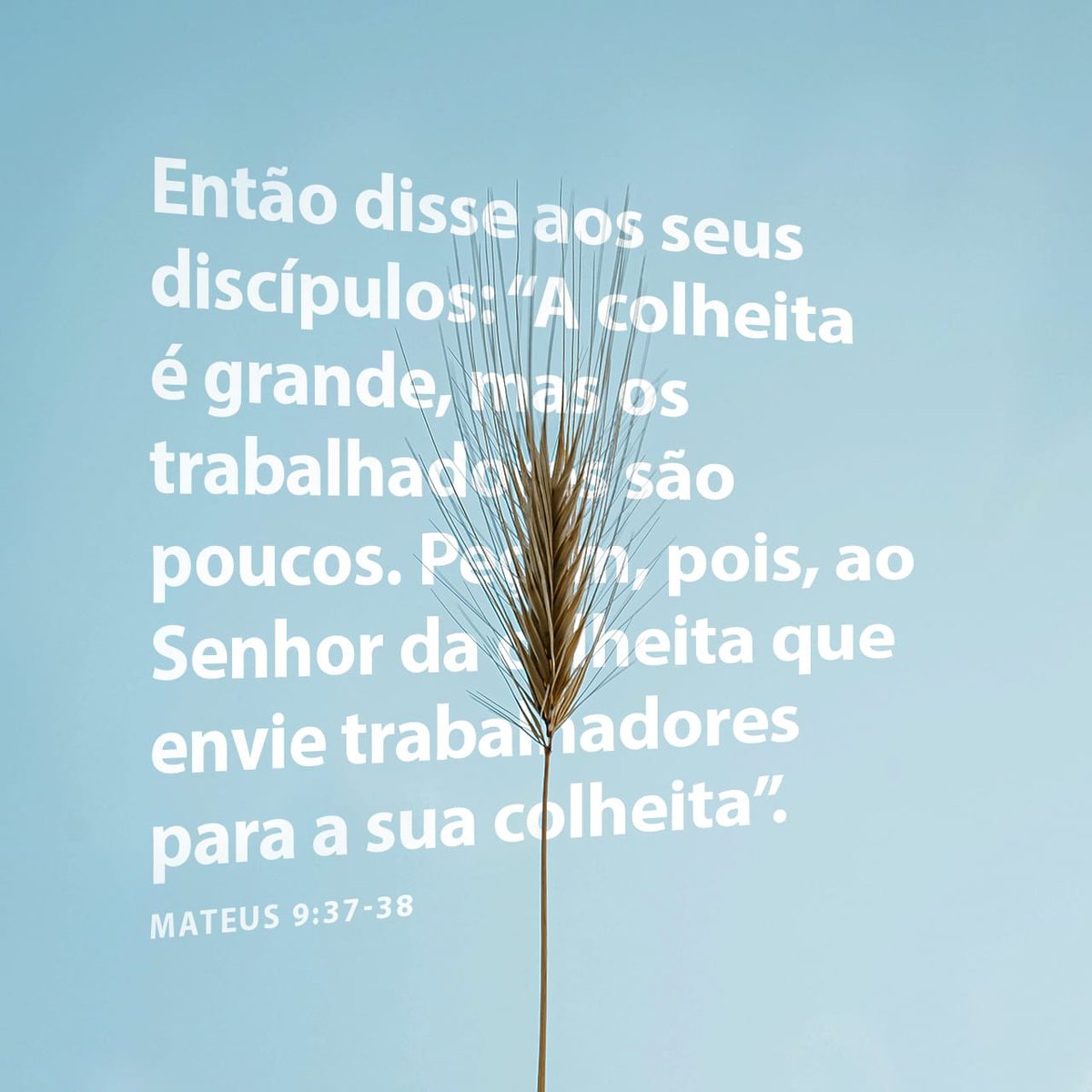 jqlucas's tweet photo. https://t.co/FqXvBgbJte