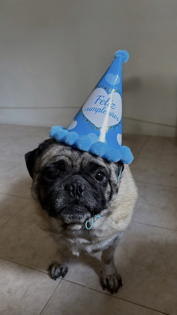 Siempre rodeada de los que más amo 🤍