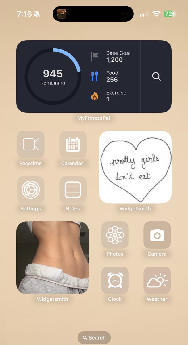 teaandtinybites's tweet image. all i ate today 💃🏼