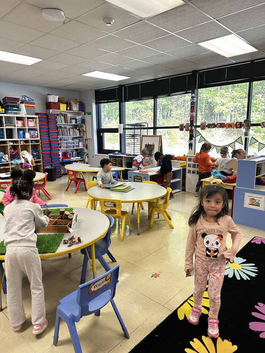 Early Learning Director, Dickson County Schools tweet media