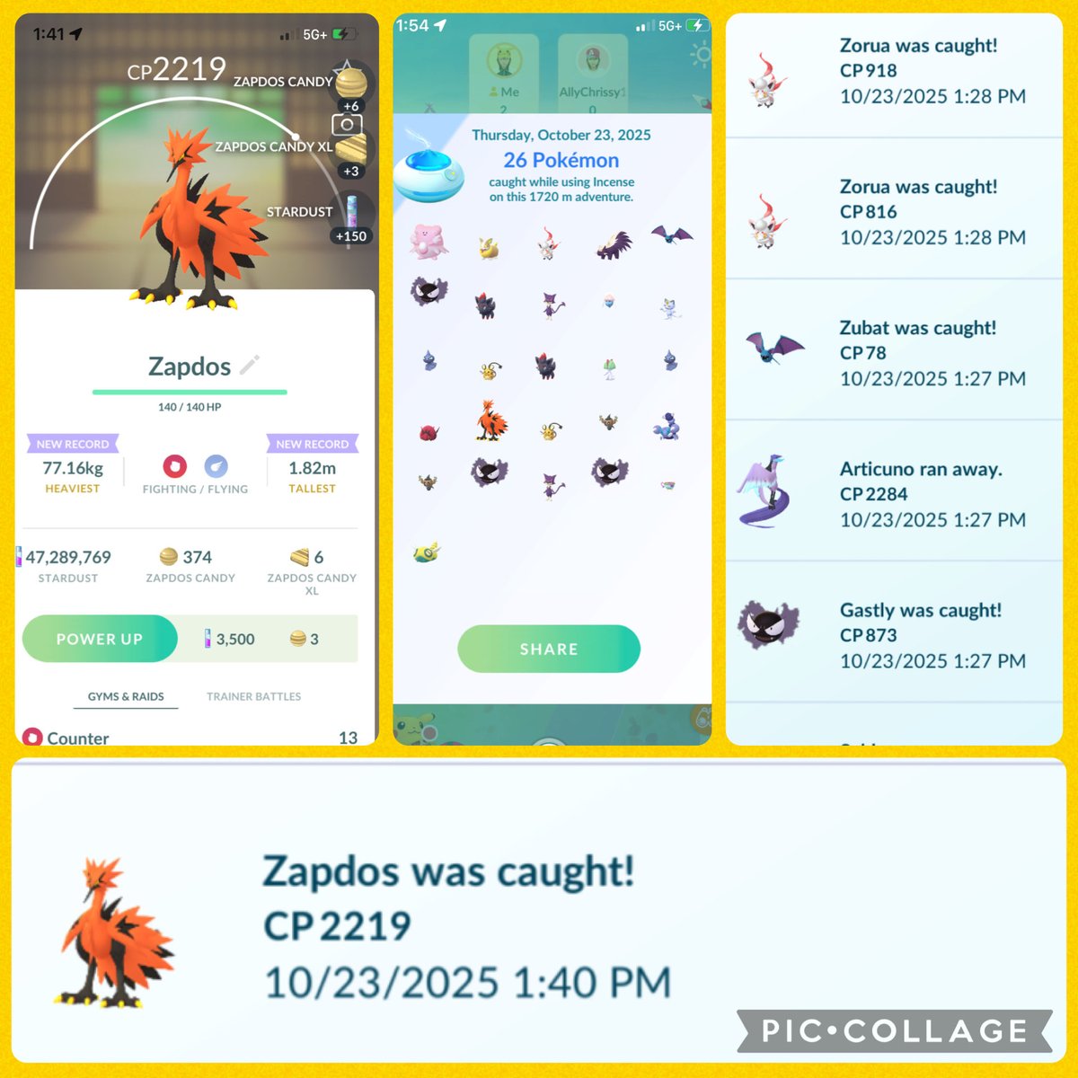 milieva13's tweet photo. There is #always a 1st time for everything. He was my first! 2 #galarian birds, 1 ran from an excellent throw w/ ultra ball & 1 decided to stay in a great throw w/ a great ball. Life can be so unpredictable sometimes. Embrace the little #wins! 🥳 #PokemonGO #CatchThemAll #MyBird https://t.co/p41h6XShMC
