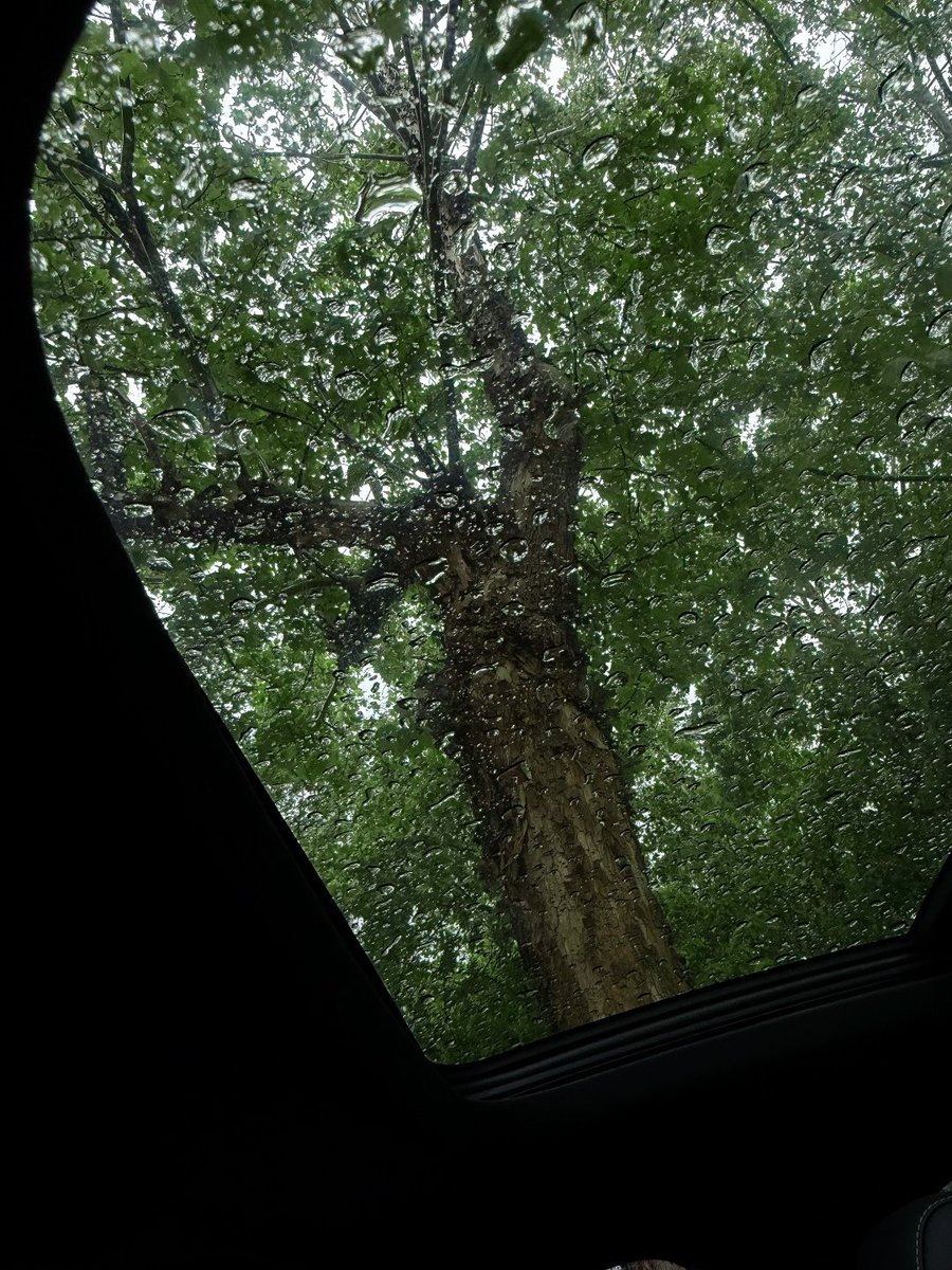 It’s been raining for so long; the air feels damp, and even my mood seems to slow down with the rhythm.