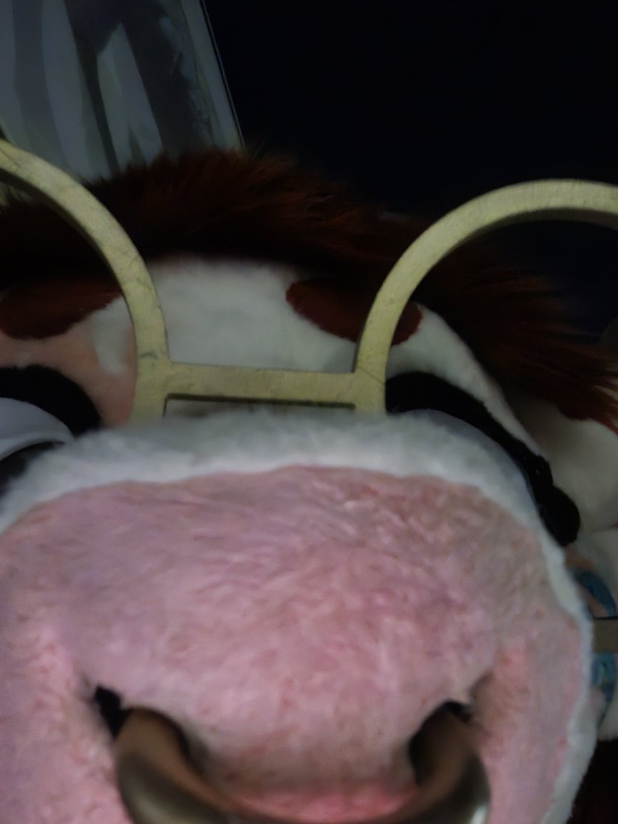 ImThatGayCow's tweet photo. You got games on yo phone

#furry #fursuiting #fursuiter https://t.co/TdHdHNlwXr