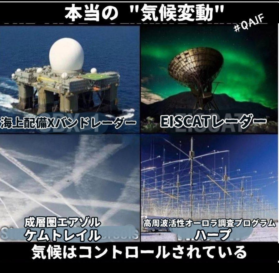 🐸1ヒックリカエル7🐸 tweet media