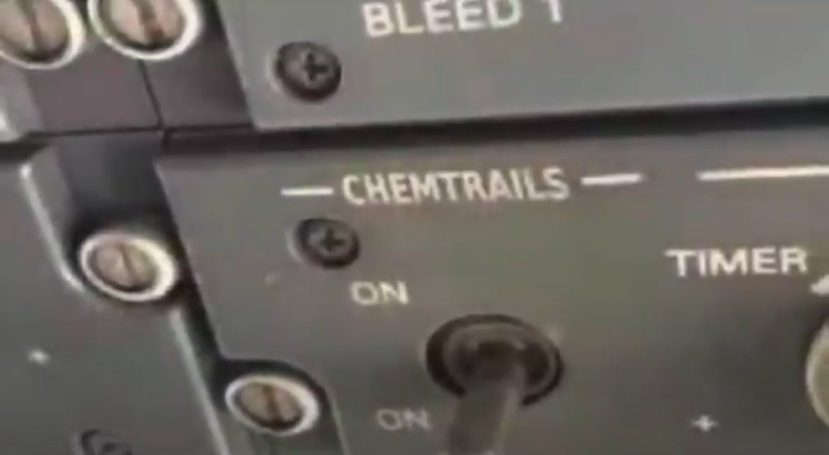 🐸1ヒックリカエル7🐸 tweet media