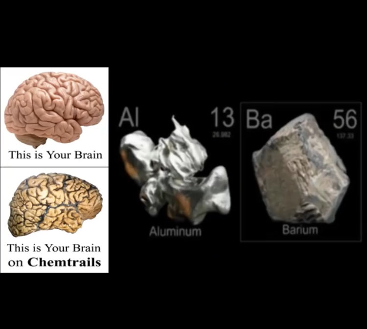 🐸1ヒックリカエル7🐸 tweet media