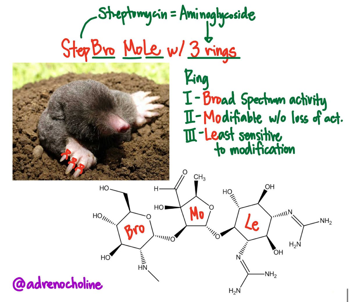 adrenocholine's tweet image. Some of my palatandaans for M1 MedChem 🧪✨️