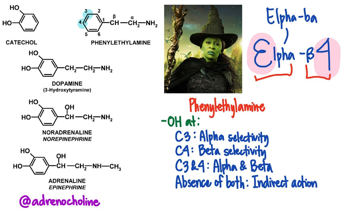 adrenocholine's tweet image. Some of my palatandaans for M1 MedChem 🧪✨️