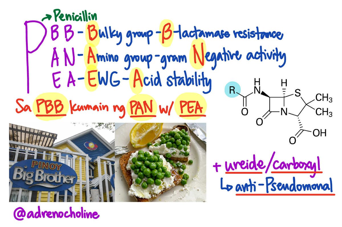 adrenocholine's tweet image. Some of my palatandaans for M1 MedChem 🧪✨️