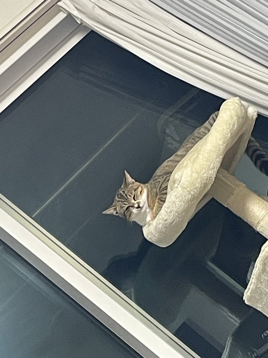 みきちゃん on X