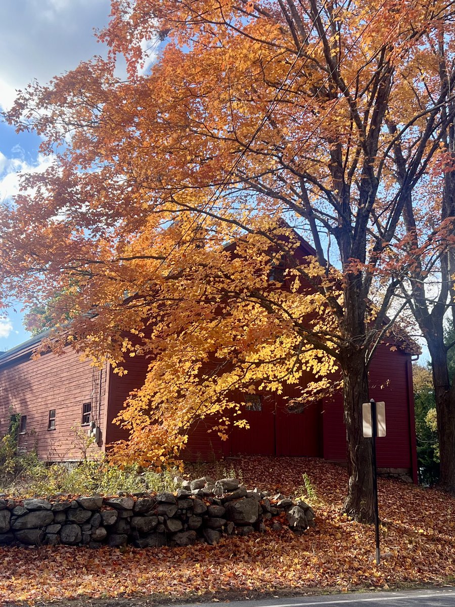 Fall colors in New England