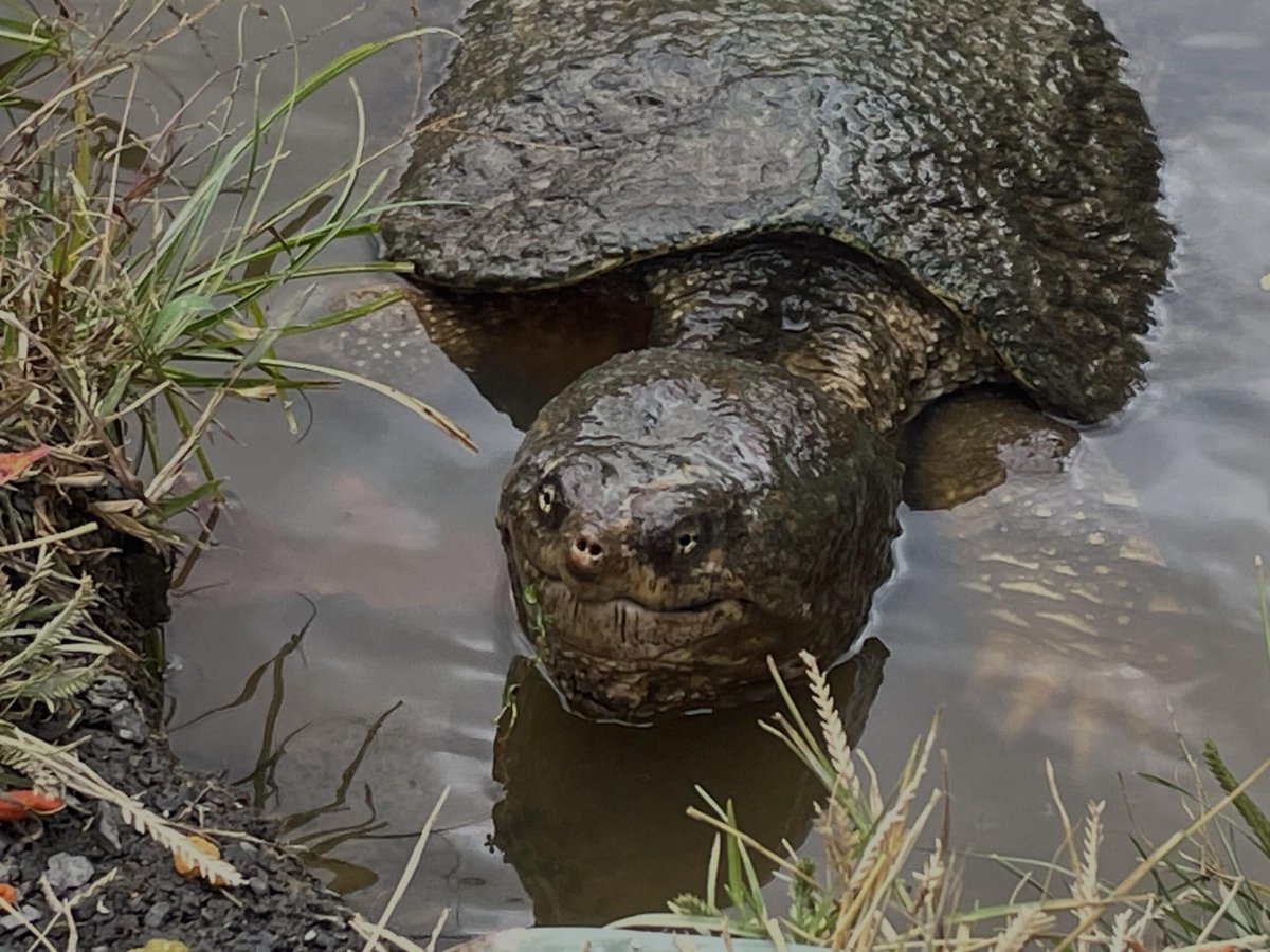 #Fishing bud
 
flakefood.com/790264/fishing…
 
#Beginners #BeginnersFishing #FishingForBeginners