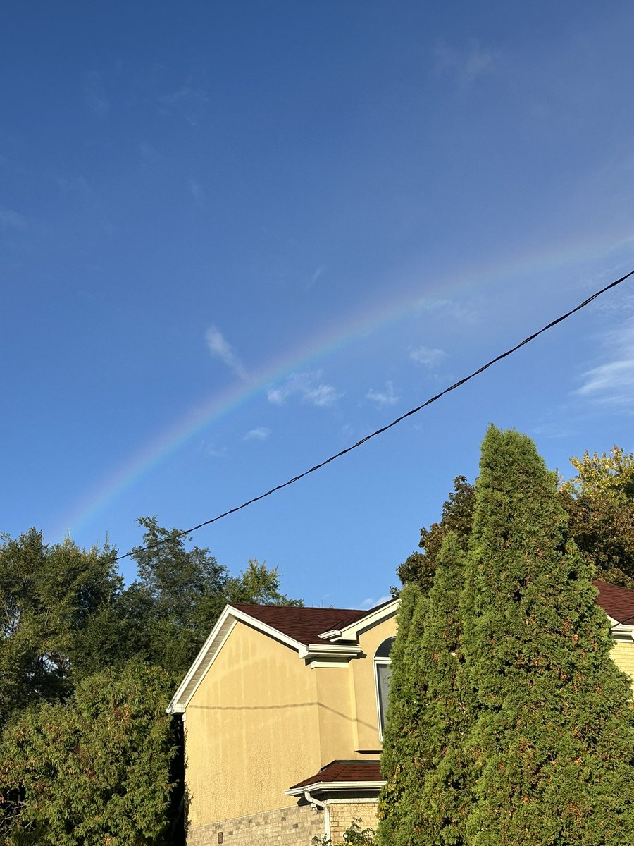 SummitHeights(Library) tweet media