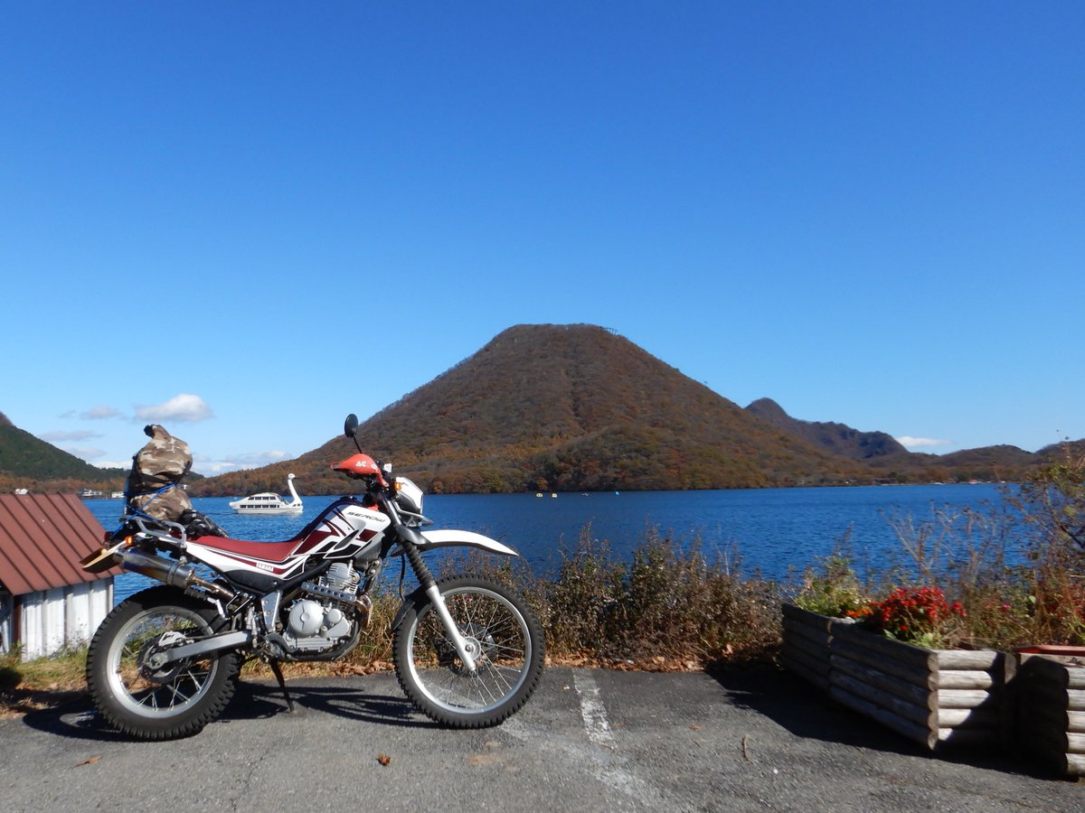 かねごん（麦酒党） on X