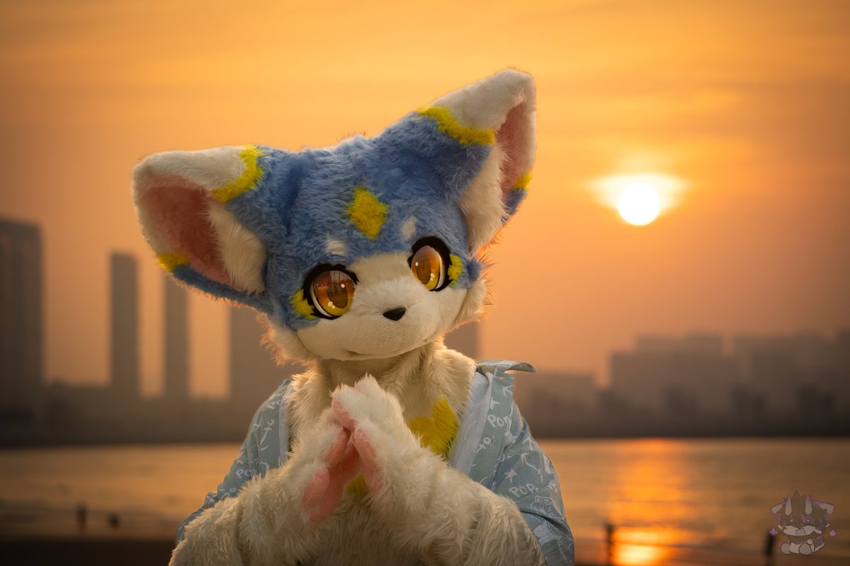 #FursuitFriday
【破晓三周年纪念】
当第一缕光切开地平线
我数到第一千零九十五次日出
爪尖还沾着昨夜的露水
眼眶却已盛满晨光
三年前诞生的不仅是蓝
更是向世界坦白的
第一千零一种可能
📷：<a href="/St0CEAN/">星海StO</a>