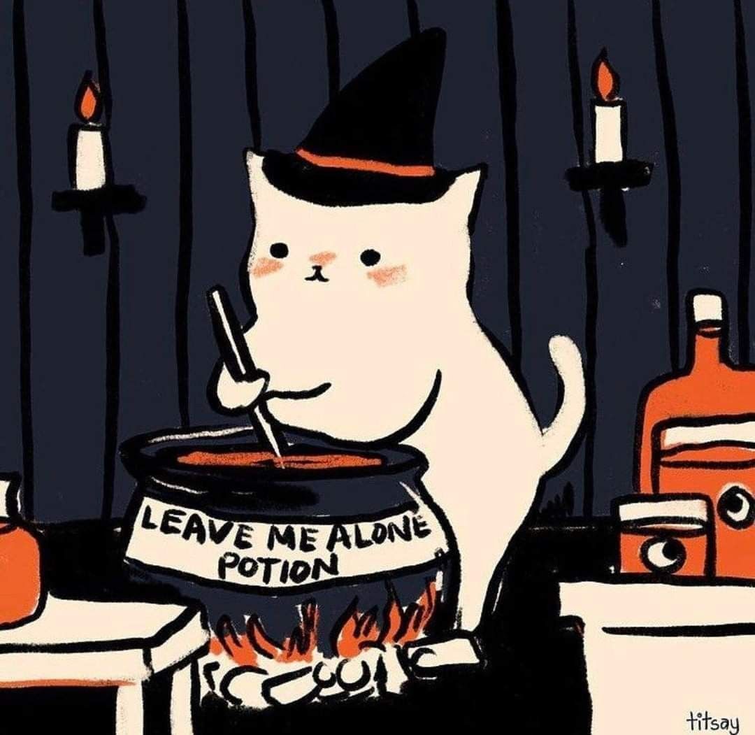 cutedreamvibes's tweet image.