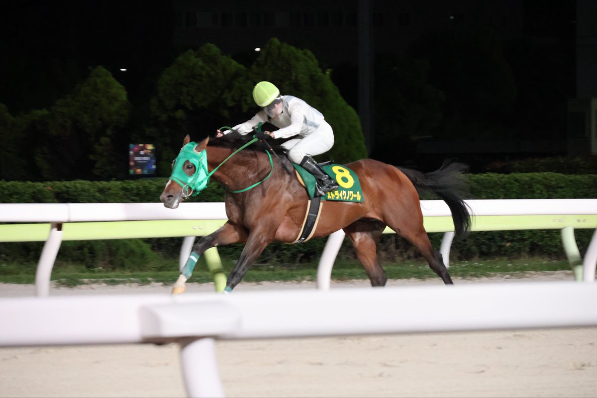 ノリタケ　競走馬跳馬 ノリタケ 競走馬跳馬