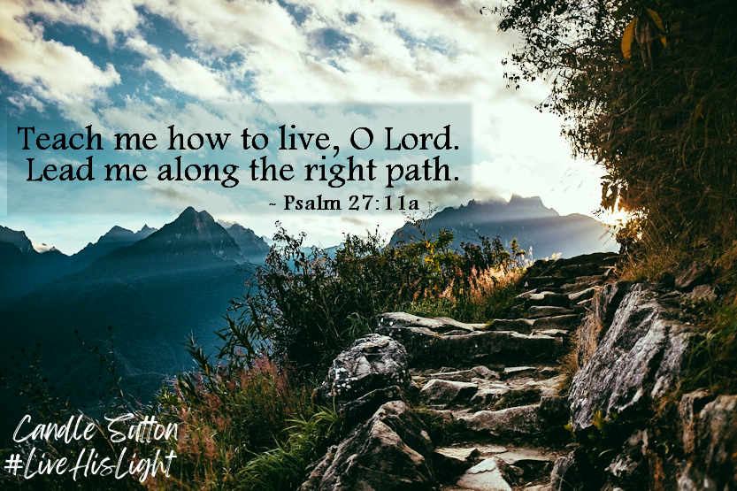 You truly live when you walk down the path the Lord puts before you.

#LiveHisLight #FollowGod