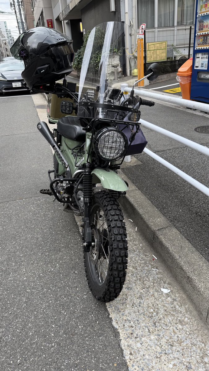 久々のカブ先輩🫜