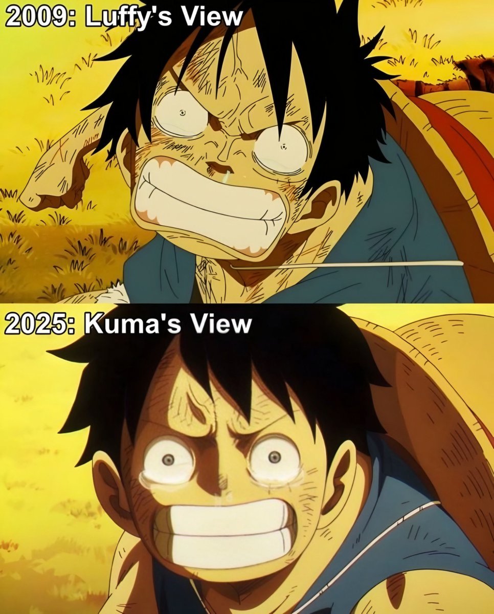 strawhats's tweet image. 