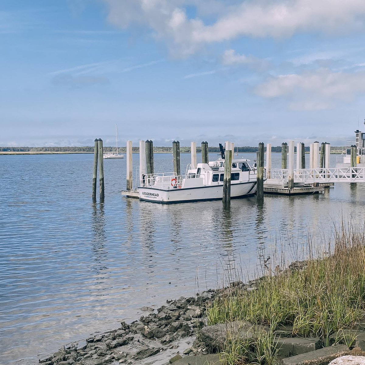 ButschU's tweet image. Walking evening 

#houstonteen