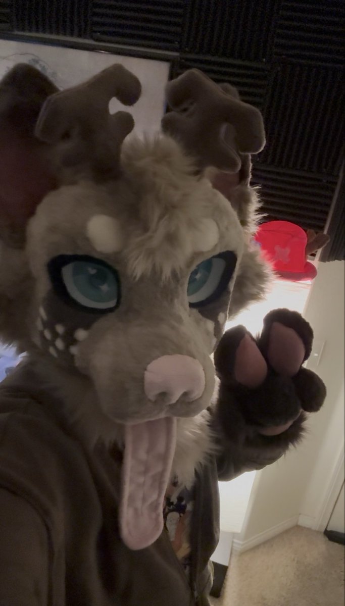 YALL, BIG THANK YOU TO <a href="/RatRaceFursuits/">Rat Race🏁 ➡️💙🌤️</a> FOR BRINGING LUMI TO LIFE!! It’s so surreal and I’m so happy with how he turned out!!