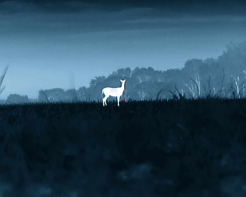 John Galt tweet media