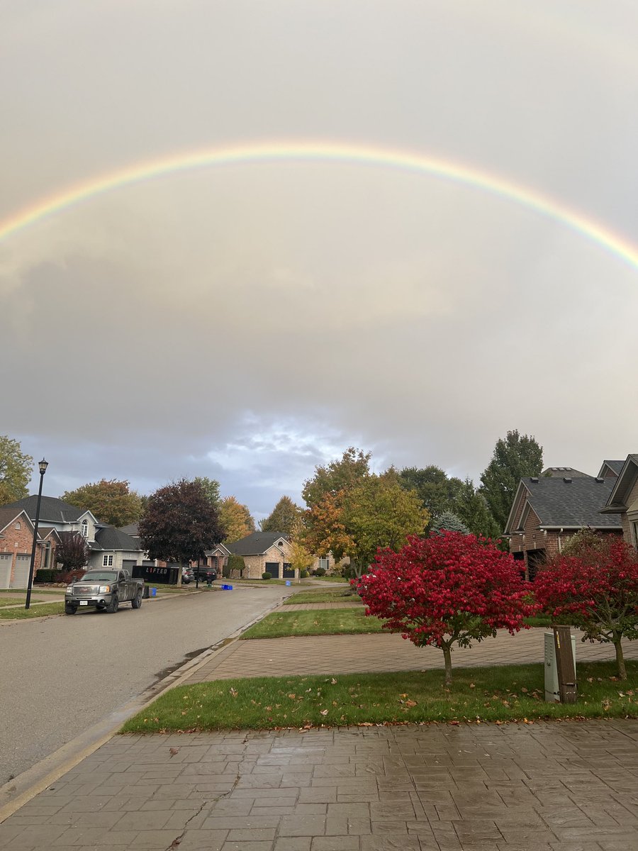 Cheryl Finn tweet media