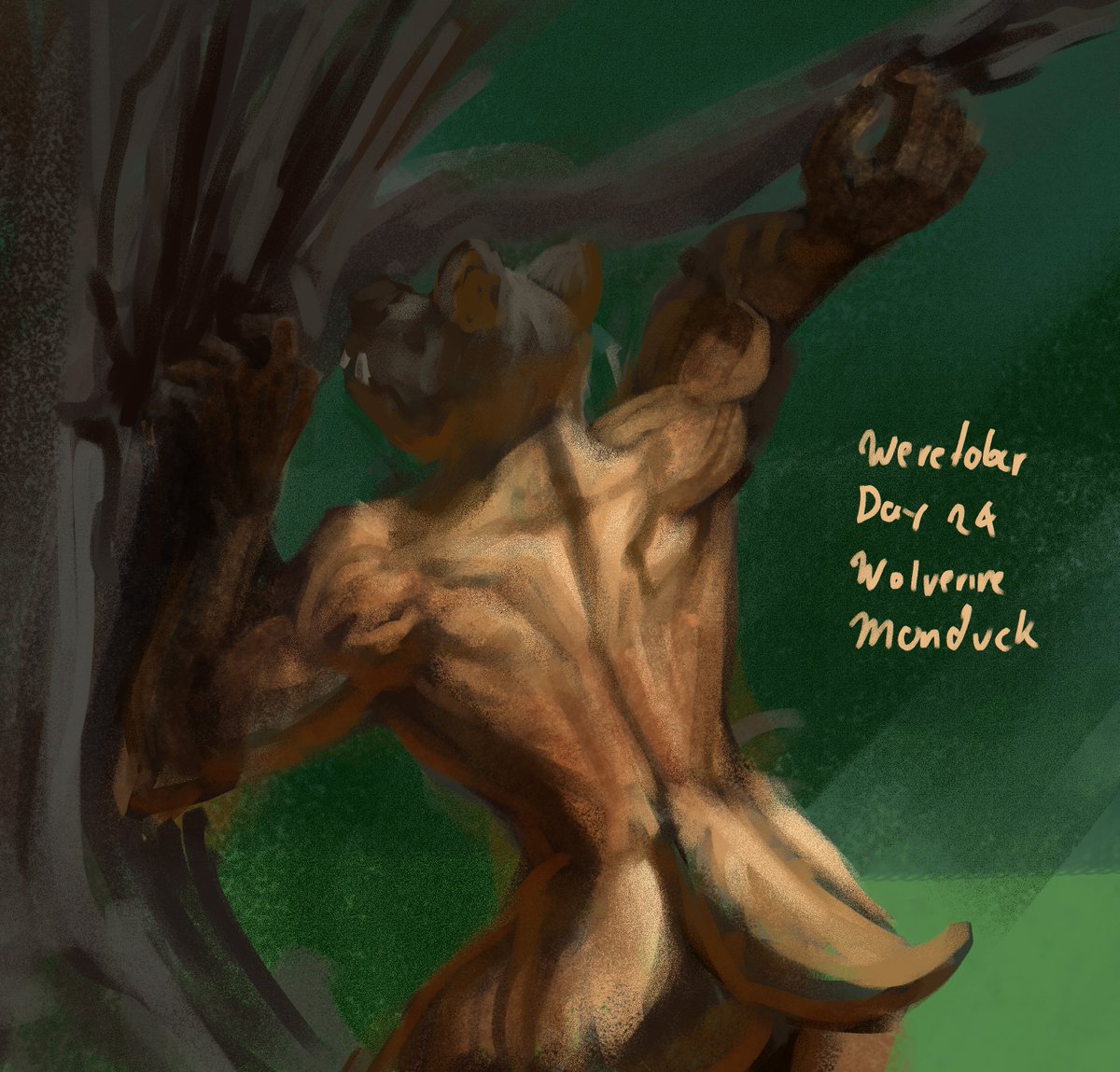 A quick Wolverine fore Day 24 of <a href="/TFiddlerArt/">Taran Fiddler</a> 's #Weretober2025 

#weretober