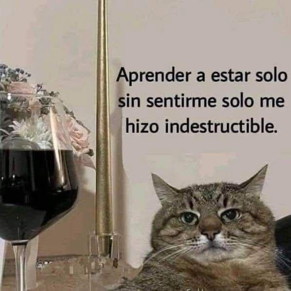 BANDIDOS (@bandidosfrasess) on Twitter photo 