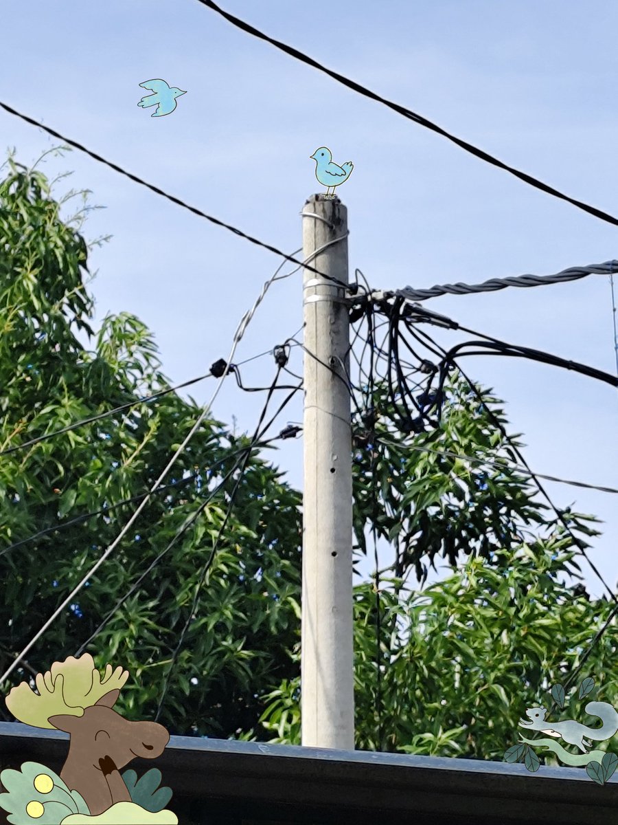 Ndy (@blazetera7) on Twitter photo This pole is a silent witness, carrying current and stories.
Behind the clutter, there is energy flowing, like a <a href="/DataHaven_xyz/">DataHaven 🫎</a> that is always connected and full of power. This pole is a silent witness, carrying current and stories.
Behind the clutter, there is energy flowing, like a <a href="/DataHaven_xyz/">DataHaven 🫎</a> that is always connected and full of power.