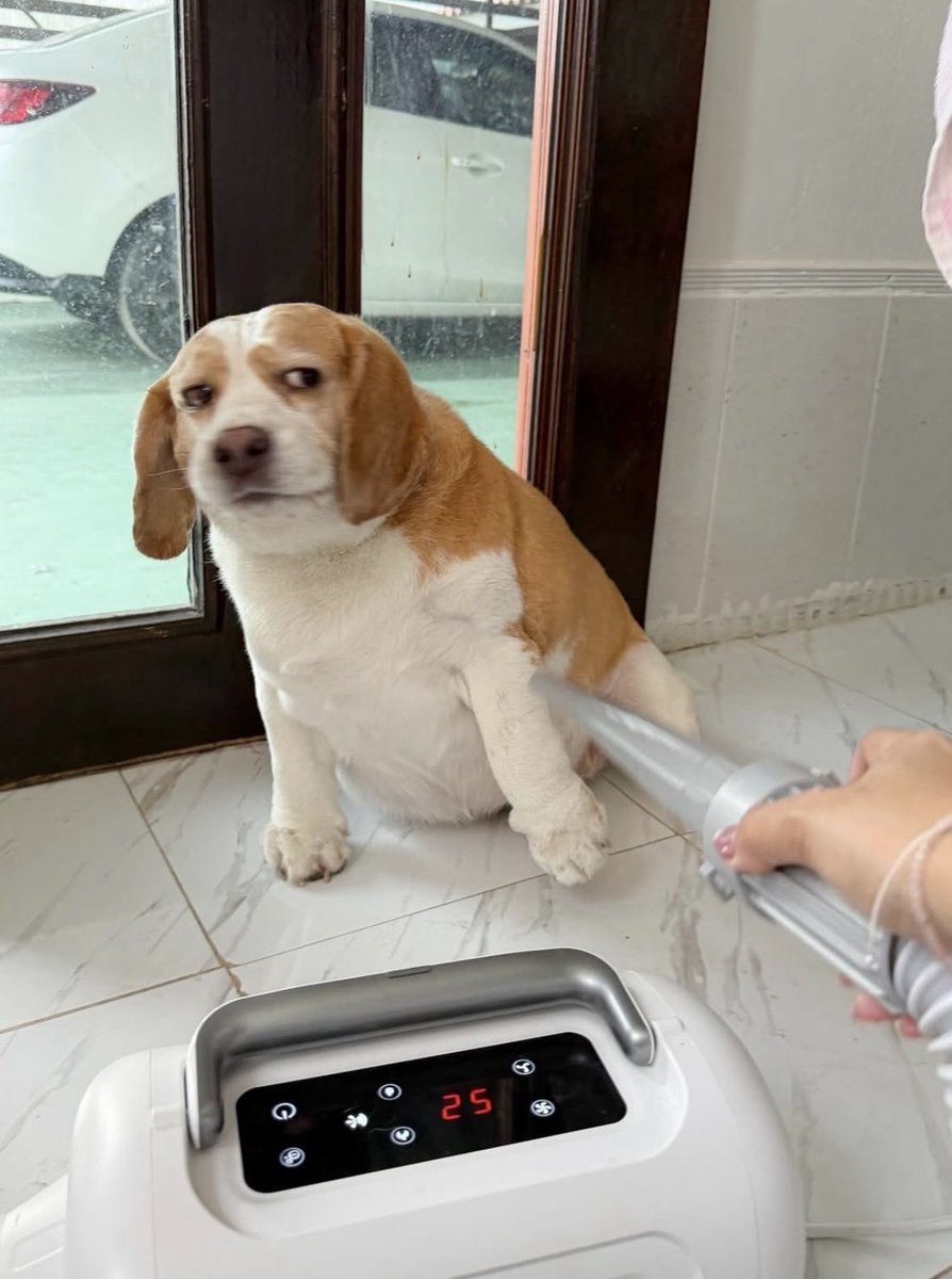 💖 (@twaniimals) on Twitter photo 