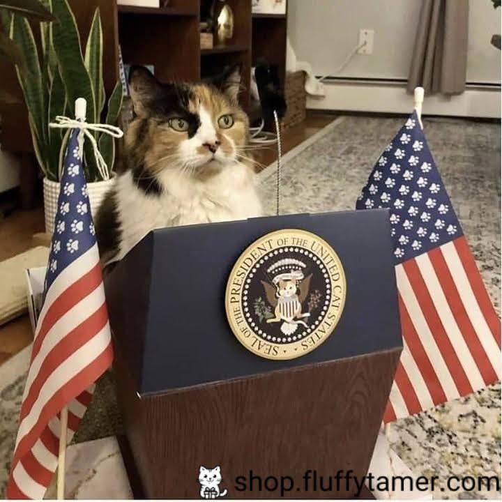 Meowgical Empress Patches Of the Eldritch Mists ! tweet media