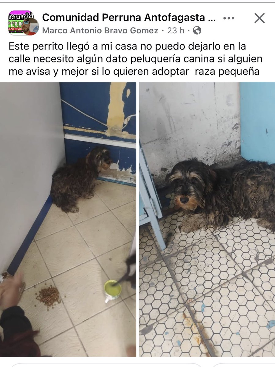 zig1758's tweet photo. 🚨🚨🚨🚨🚨🚨🚨🚨🚨🚨🚨🚨🚨#Antofagasta https://t.co/7QdO0gWz0L