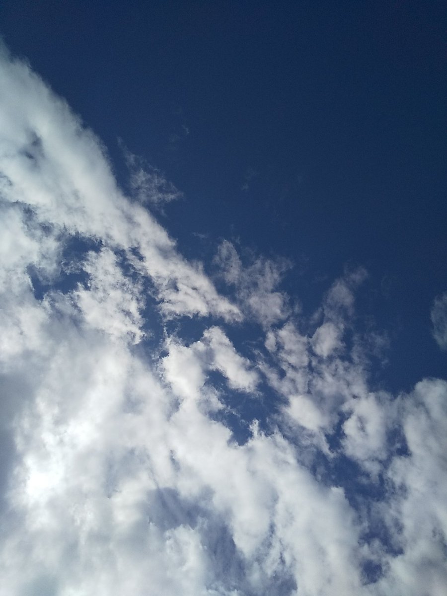 今日はヘリもジェト機もいっぱい飛んでる