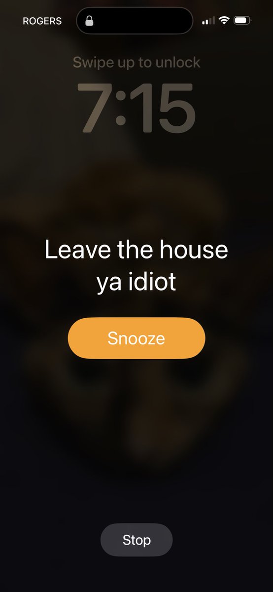 Miss Panda tweet media