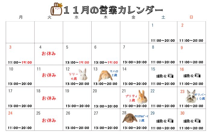 うさぎとCafe🐰うさぎカフェ (@usagitocafe) / Posts / X