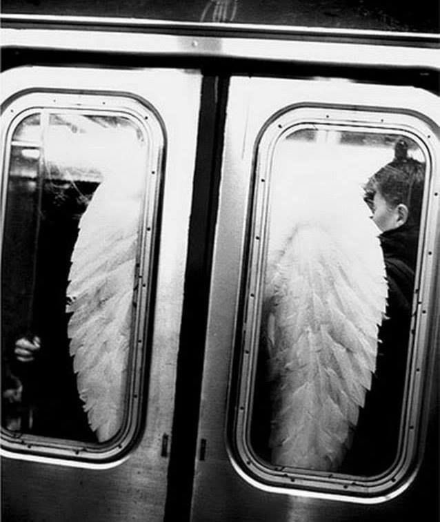onlyyagirl_'s tweet image. Taking public transportation as a beautiful woman feels like this