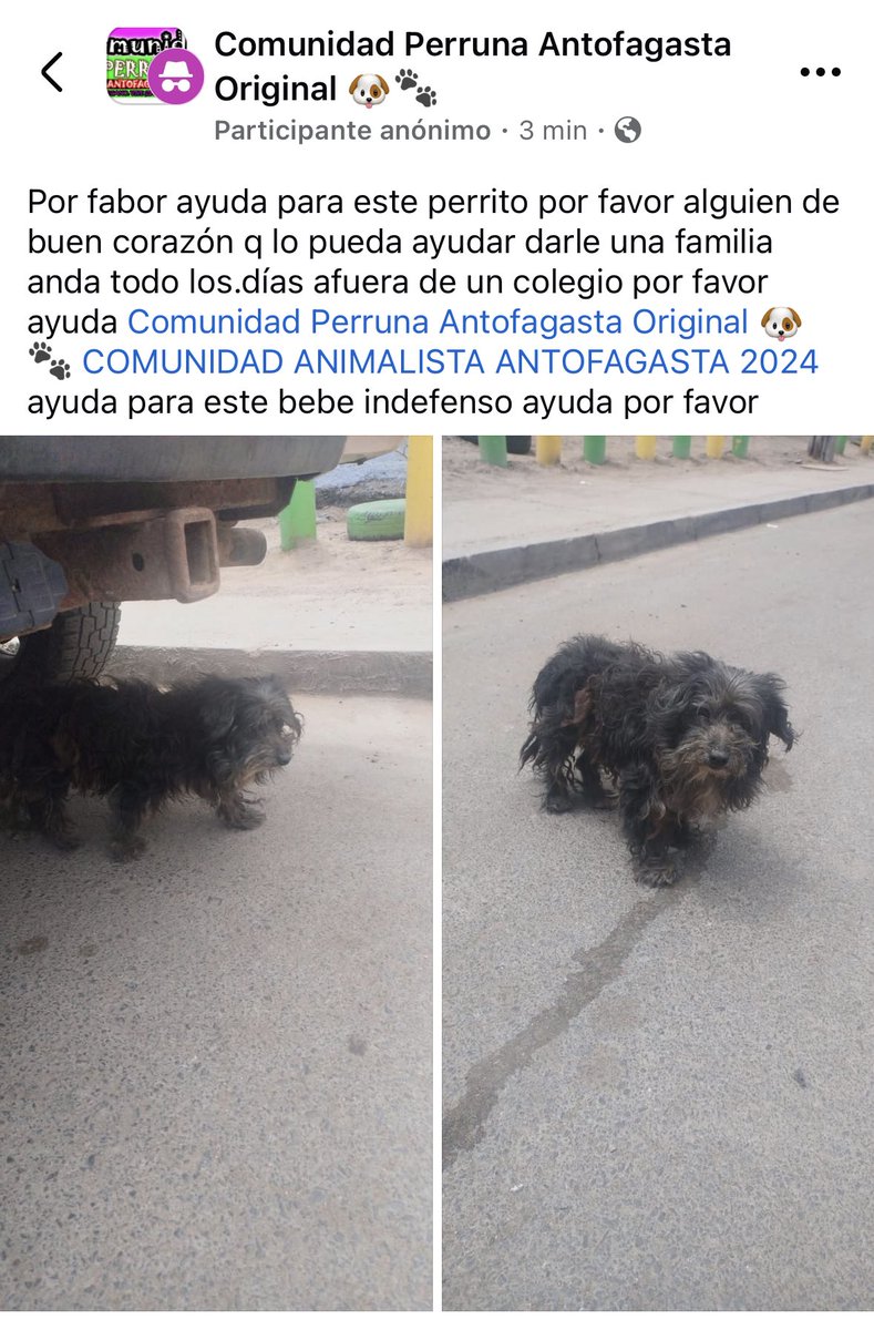 zig1758's tweet photo. 🚨🚨🚨🚨🚨🚨🚨🚨🚨🚨🚨🚨#Antofagasta https://t.co/vGbWScLEm3