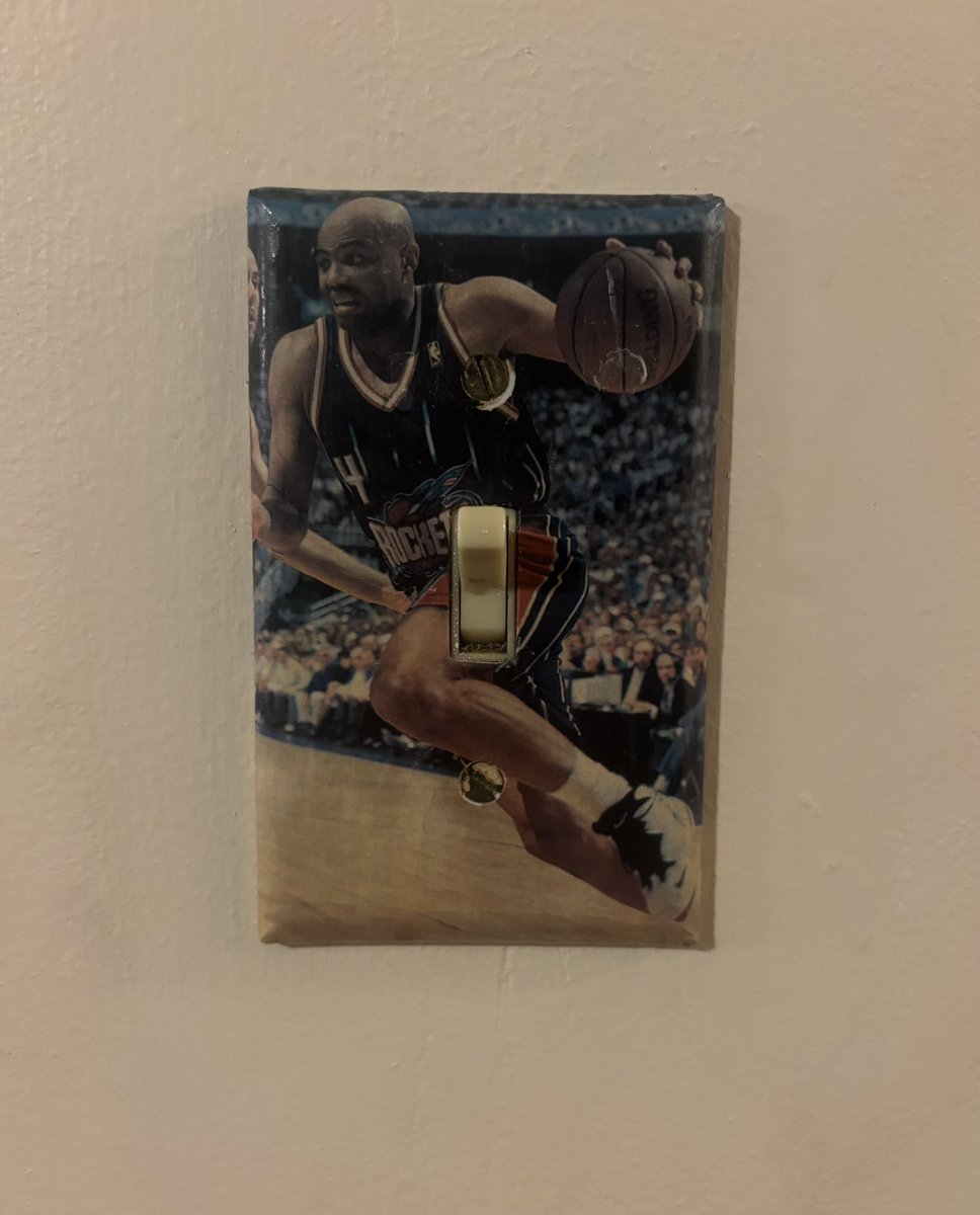 oddtreebanjo's tweet image. i kid you not this is a light switch in her dining room